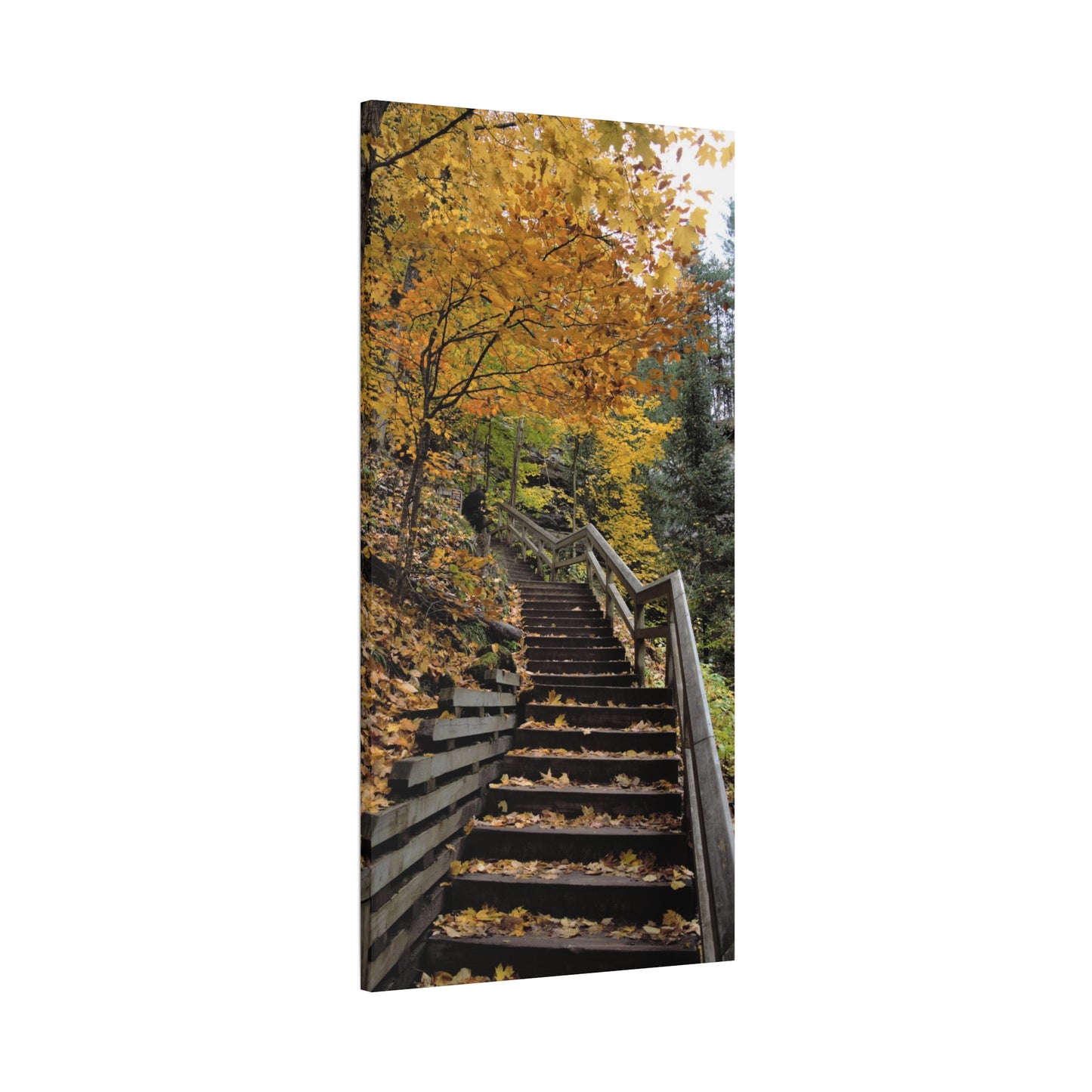 Stairway to Fall Matte Canvas, Stretched, 1.25" 48" x 24", 32", 36"