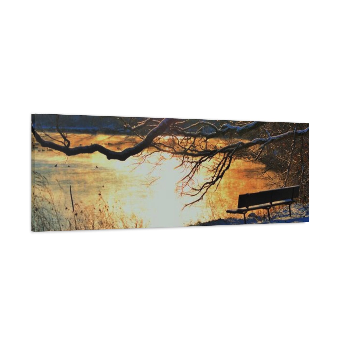 A Bench to Remember Matte Canvas, Stretched, 1.25" 48 "x 16" 48" x 24", 48" x 32", 48" x 36"