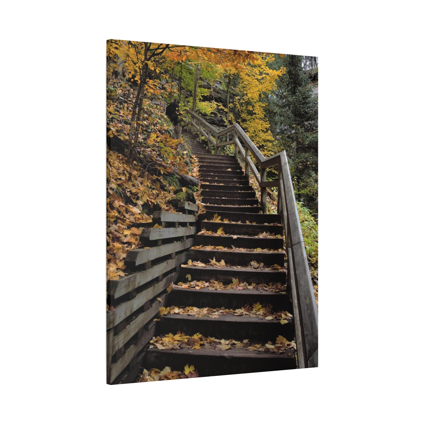 Stairway to Fall Matte Canvas, Stretched, 1.25" 48" x 24", 32", 36"