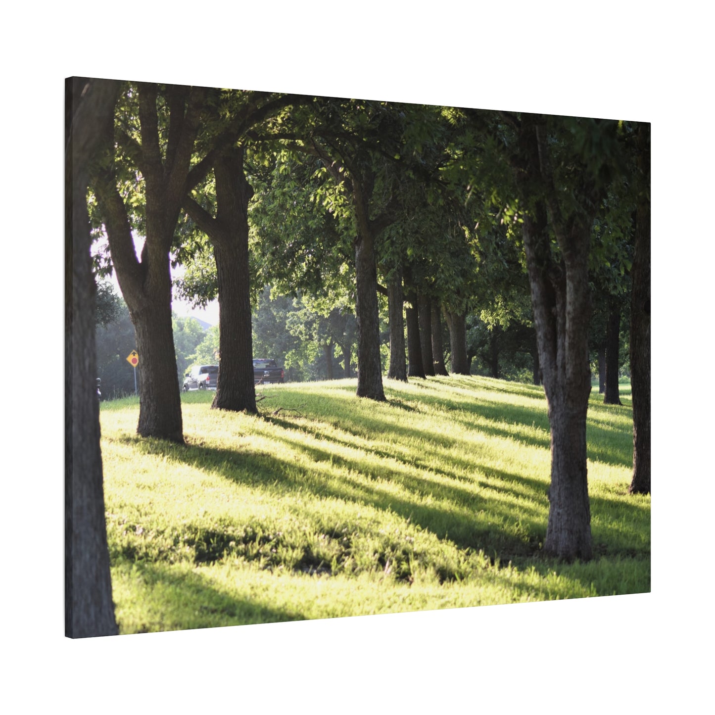 Walk in the park Matte Canvas, Stretched, 1.25" 48" x 24", 32", 36"