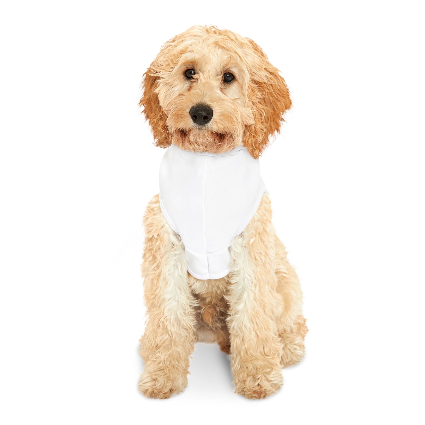 Pet Hoodie Scarecrow Halloween