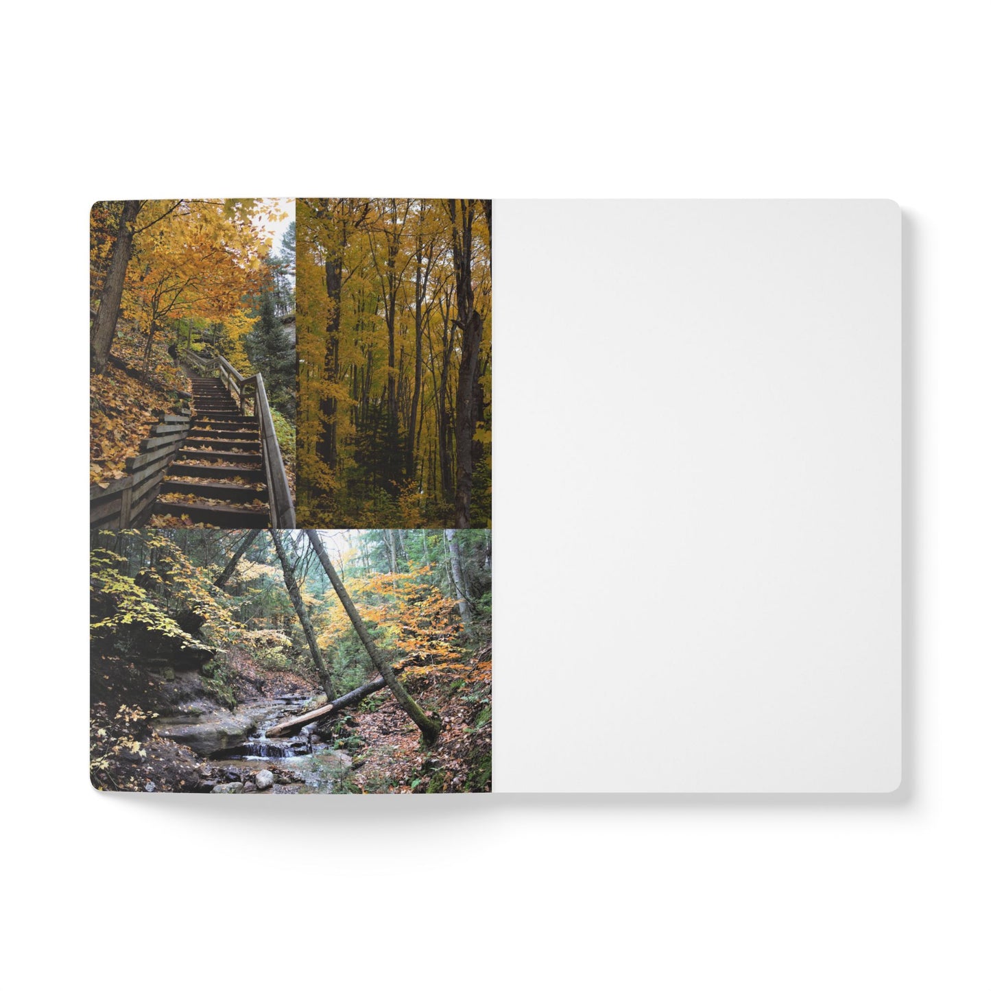 Softcover Journal (with Inside Prints) DAH Merch