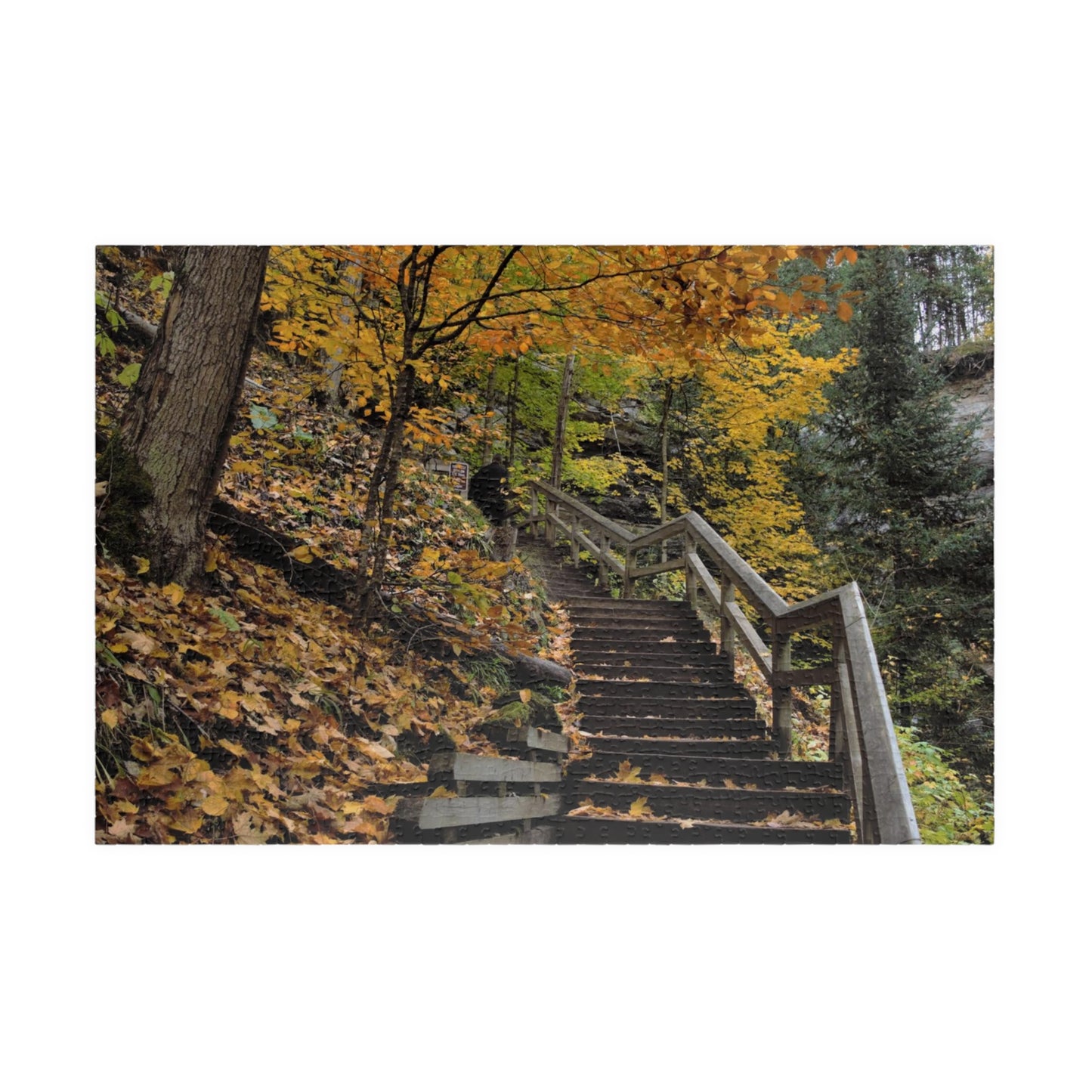 Puzzle (110, 252, 500, 1014-piece) Stairway to Fall