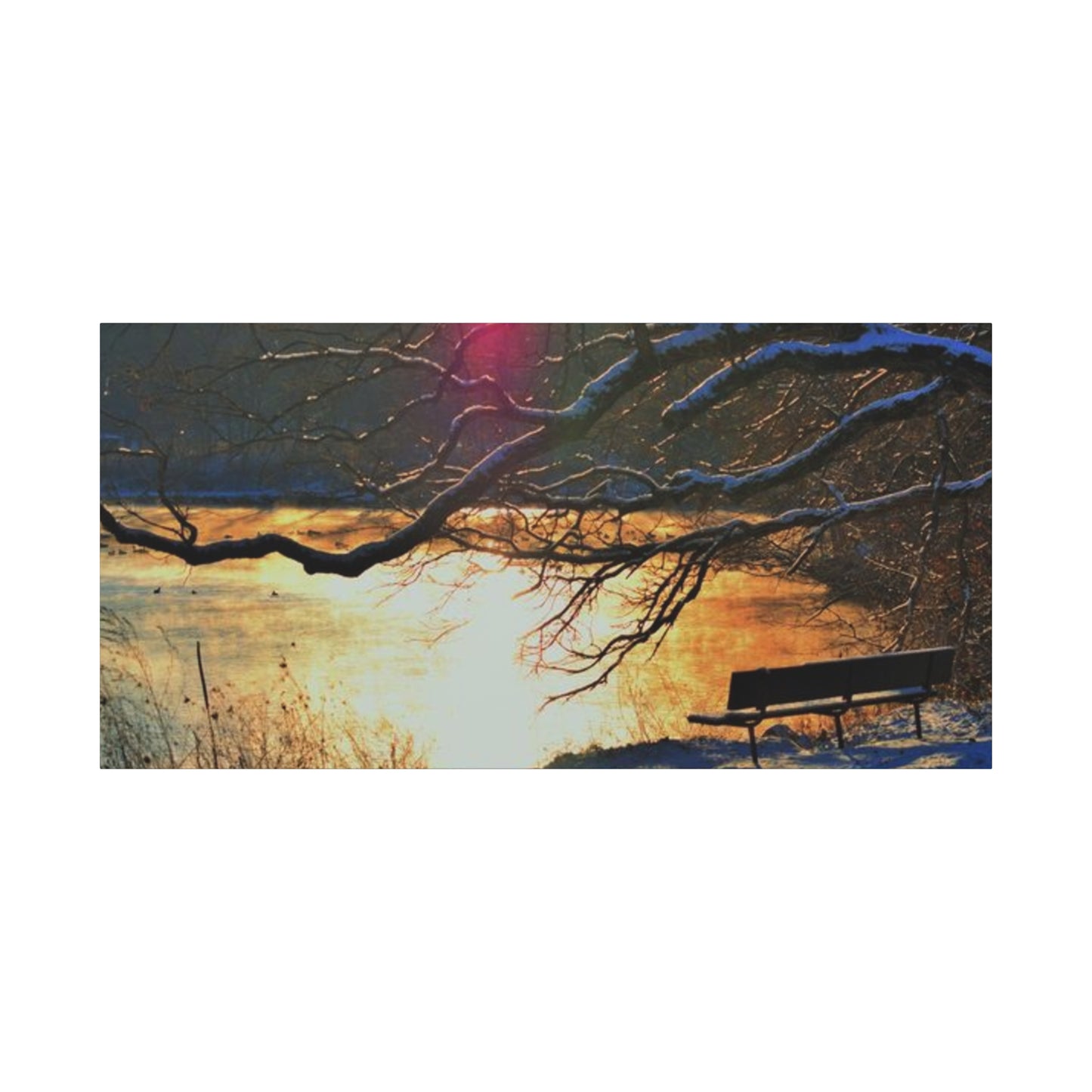 A Bench to Remember Matte Canvas, Stretched, 1.25" 48 "x 16" 48" x 24", 48" x 32", 48" x 36"