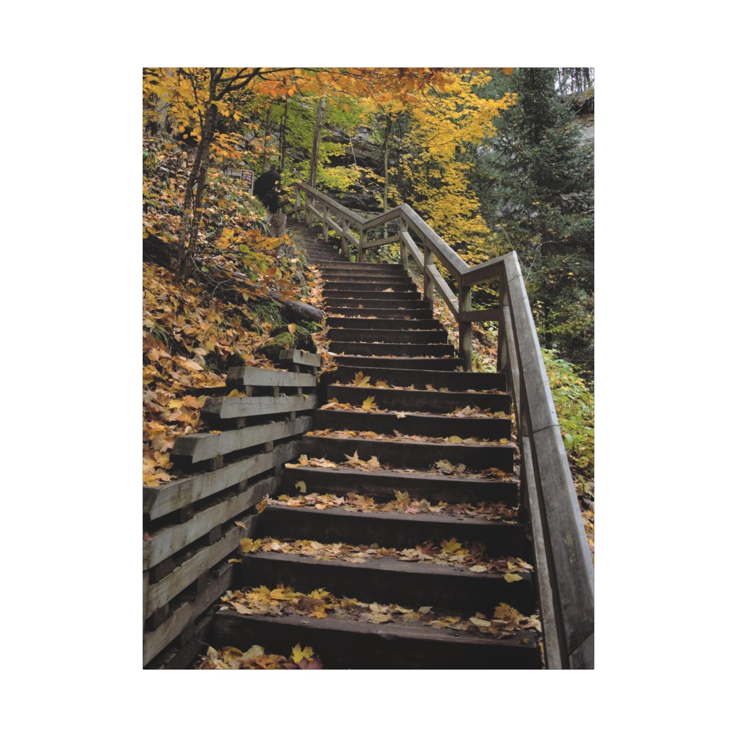 Stairway to Fall Matte Canvas, Stretched, 1.25" 48" x 24", 32", 36"