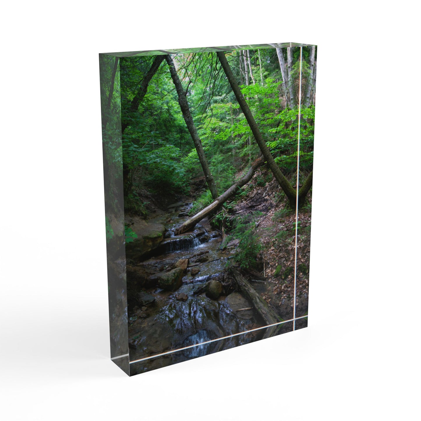 Photo Block - Bonus Creek