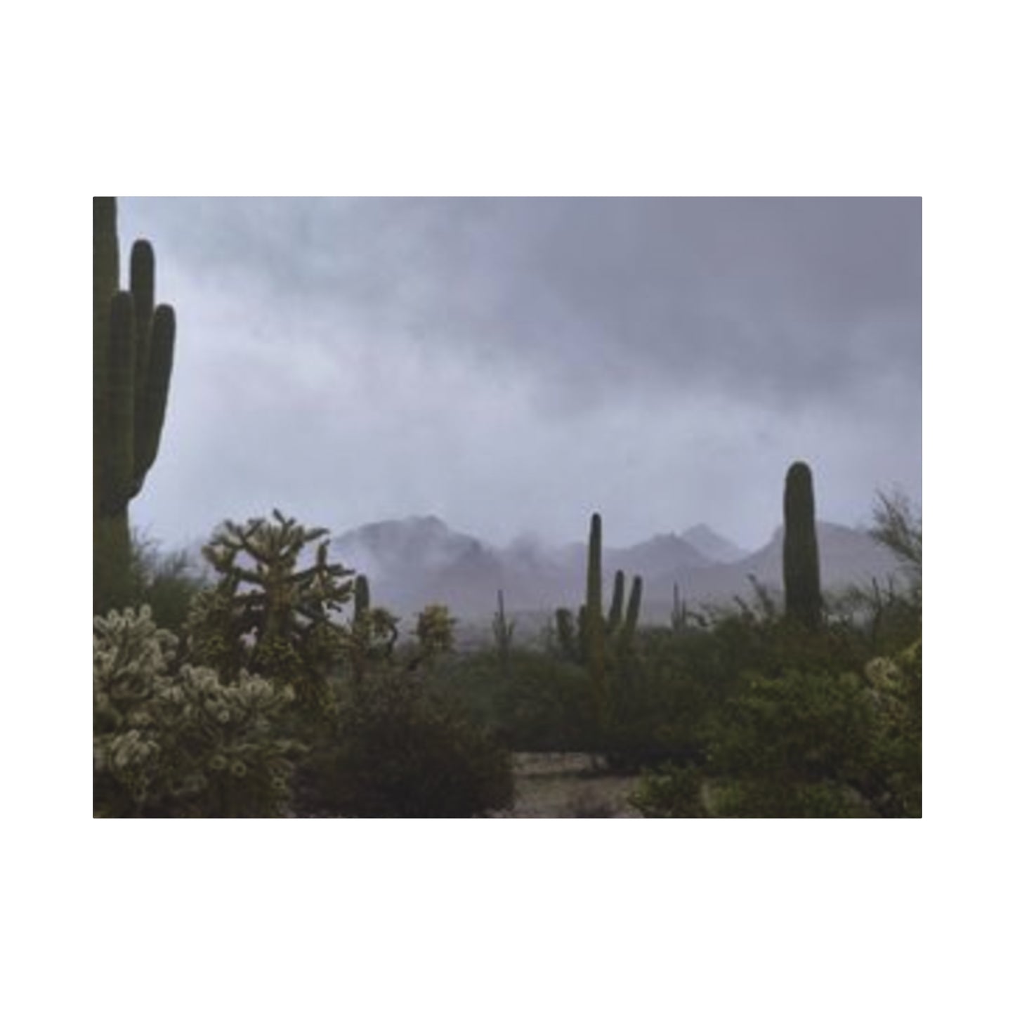 Foggy Desert Matte Canvas, Stretched, 1.25" 48" x 24", 32", 36"