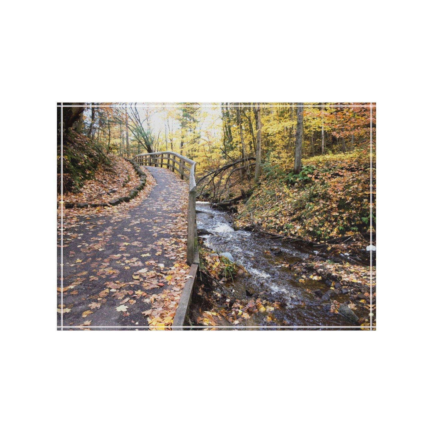 Photo Block - Walk in the woods