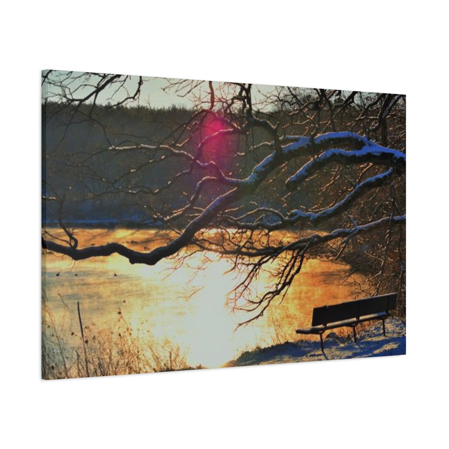 A Bench to Remember Matte Canvas, Stretched, 1.25" 48 "x 16" 48" x 24", 48" x 32", 48" x 36"