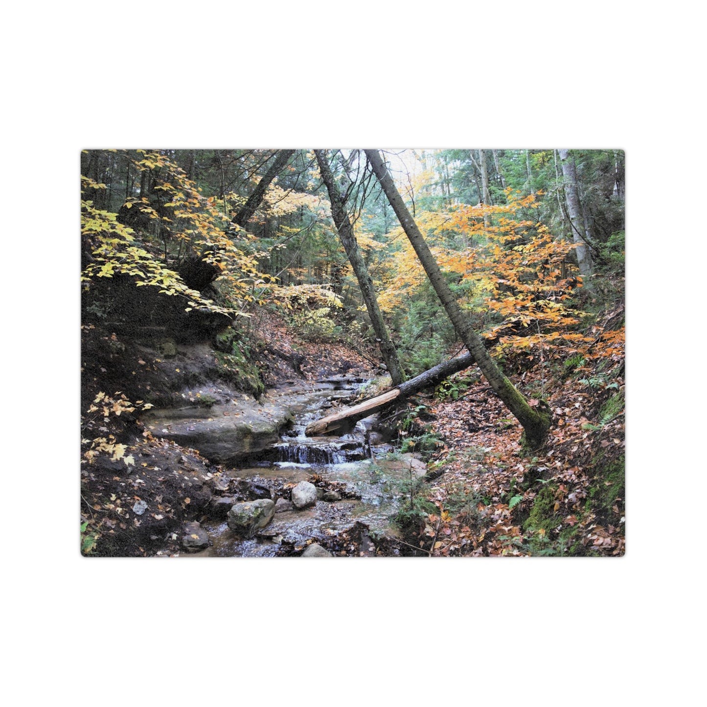 Velveteen Minky Blanket - Babbling Brook