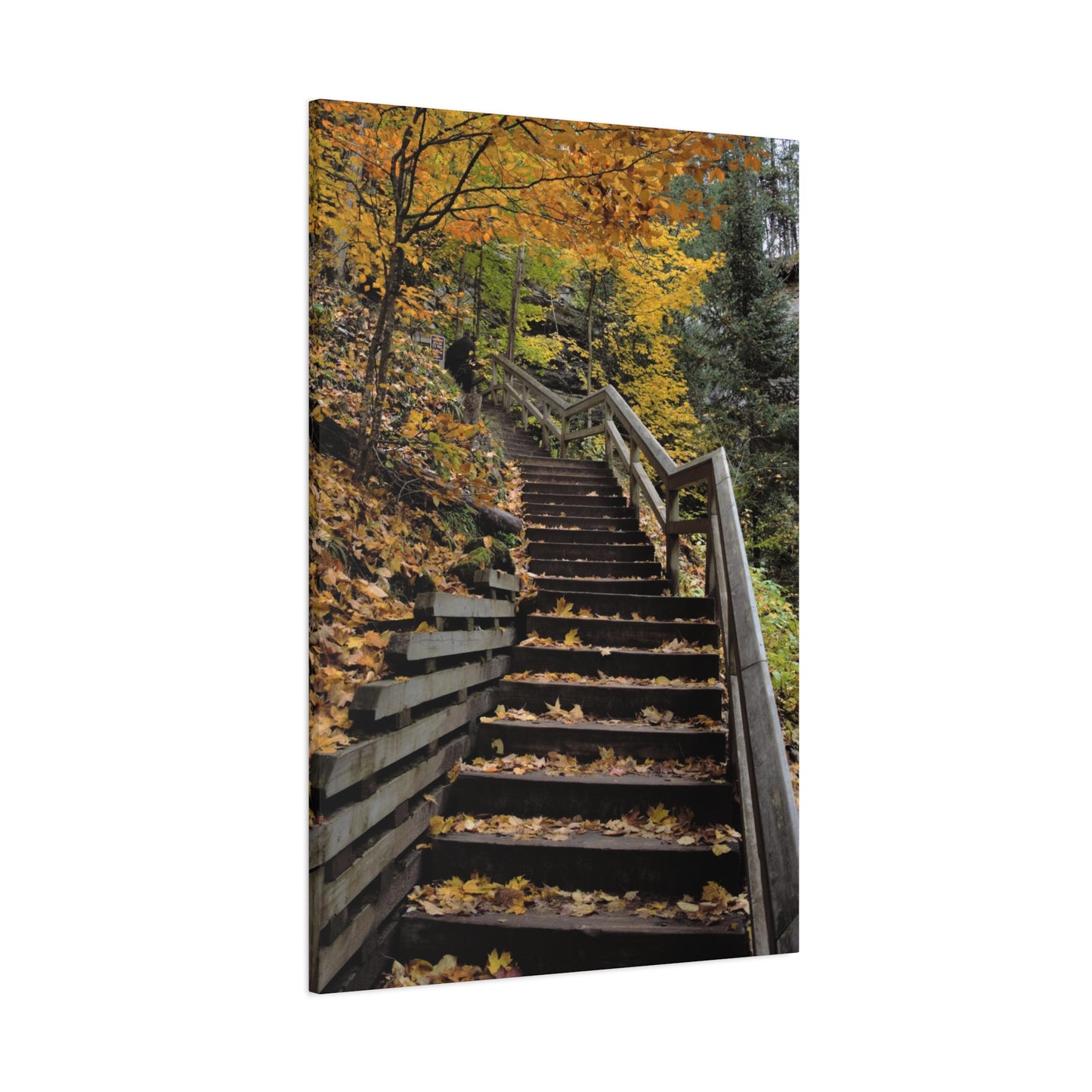 Stairway to Fall Matte Canvas, Stretched, 1.25" 48" x 24", 32", 36"