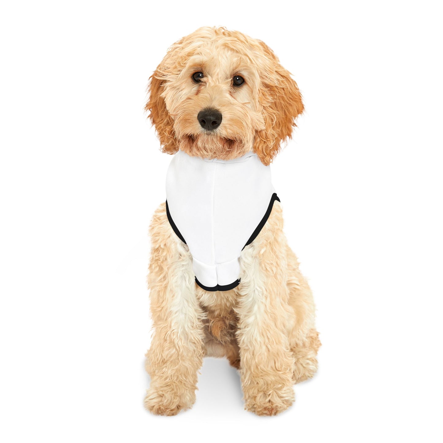 Pet Hoodie Scarecrow Halloween