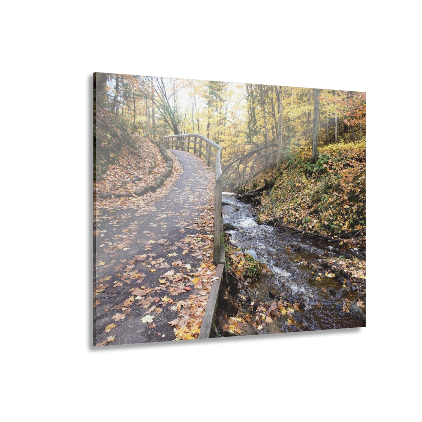 Acrylic Prints (French Cleat) Creekside Stroll