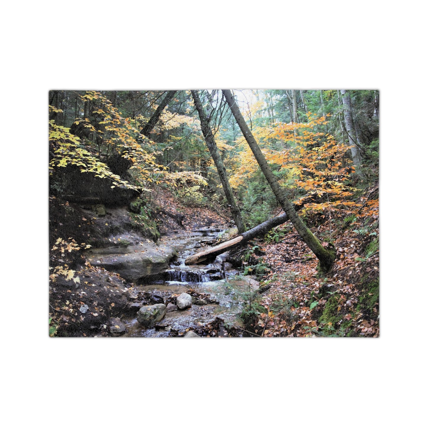 Velveteen Minky Blanket - Babbling Brook