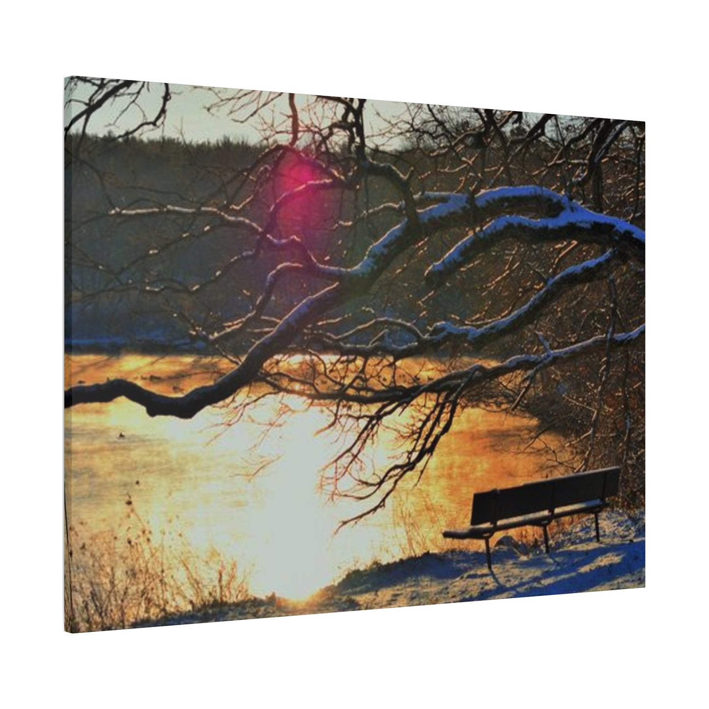 A Bench to Remember Matte Canvas, Stretched, 1.25" 48 "x 16" 48" x 24", 48" x 32", 48" x 36"