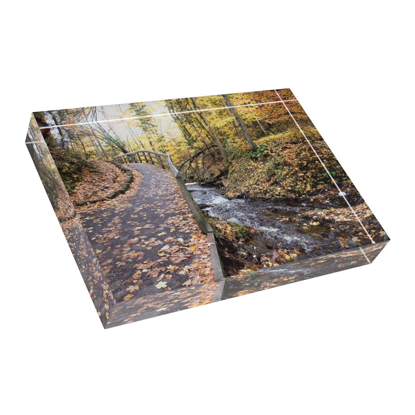 Photo Block - Walk in the woods