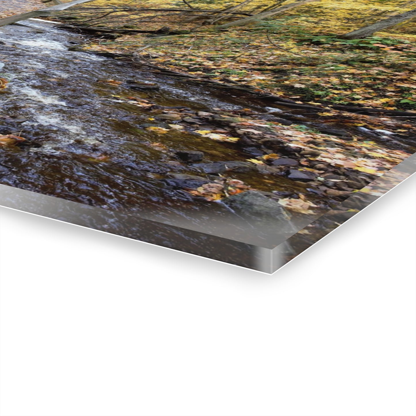 Acrylic Prints (French Cleat) Creekside Stroll