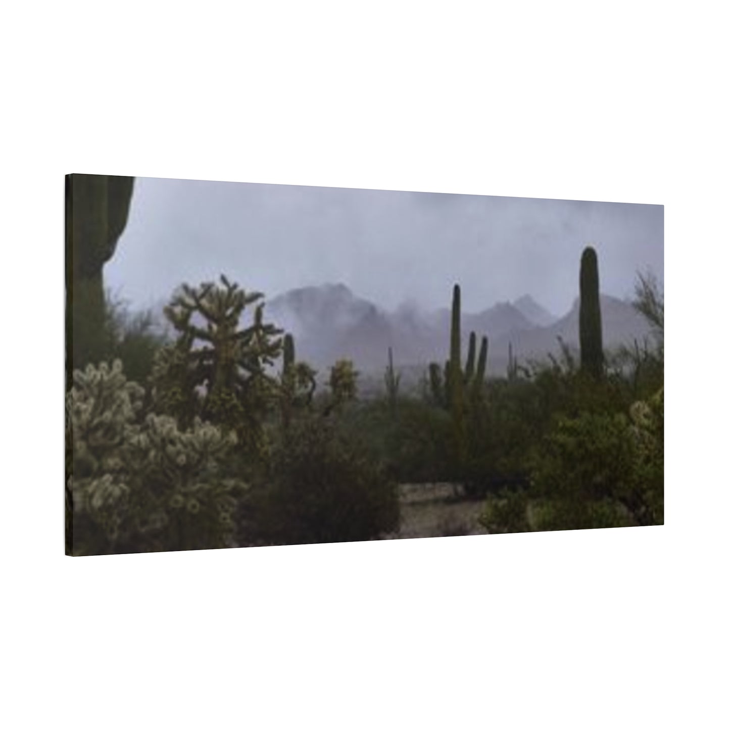 Foggy Desert Matte Canvas, Stretched, 1.25" 48" x 24", 32", 36"