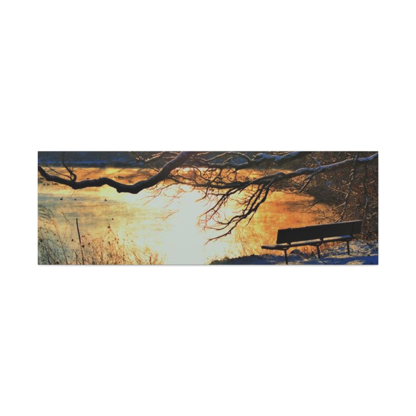 Bench to remember 60" X 20" Matte Canvas, Stretched, 1.25"
