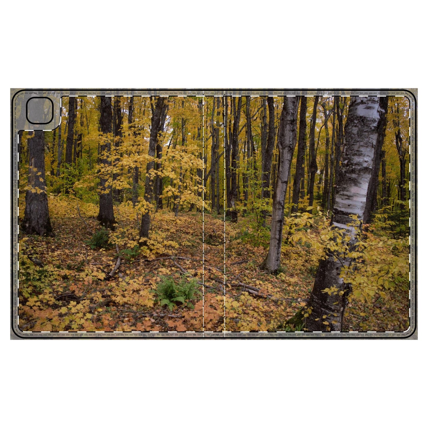 Tablet Folio Case - Walk in the woods. Ipad 12.9, Ipad 11