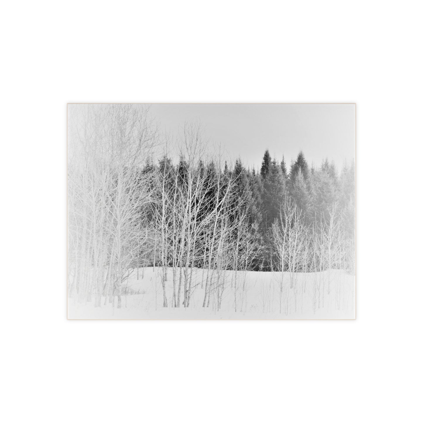 Ceramic Photo Size 6" x 8" Winter Field