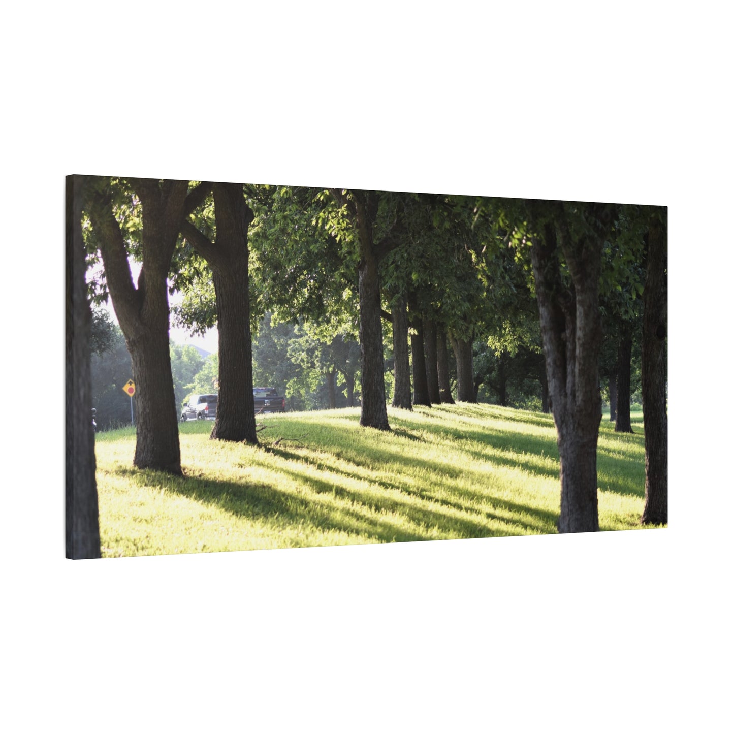 Walk in the park Matte Canvas, Stretched, 1.25" 48" x 24", 32", 36"