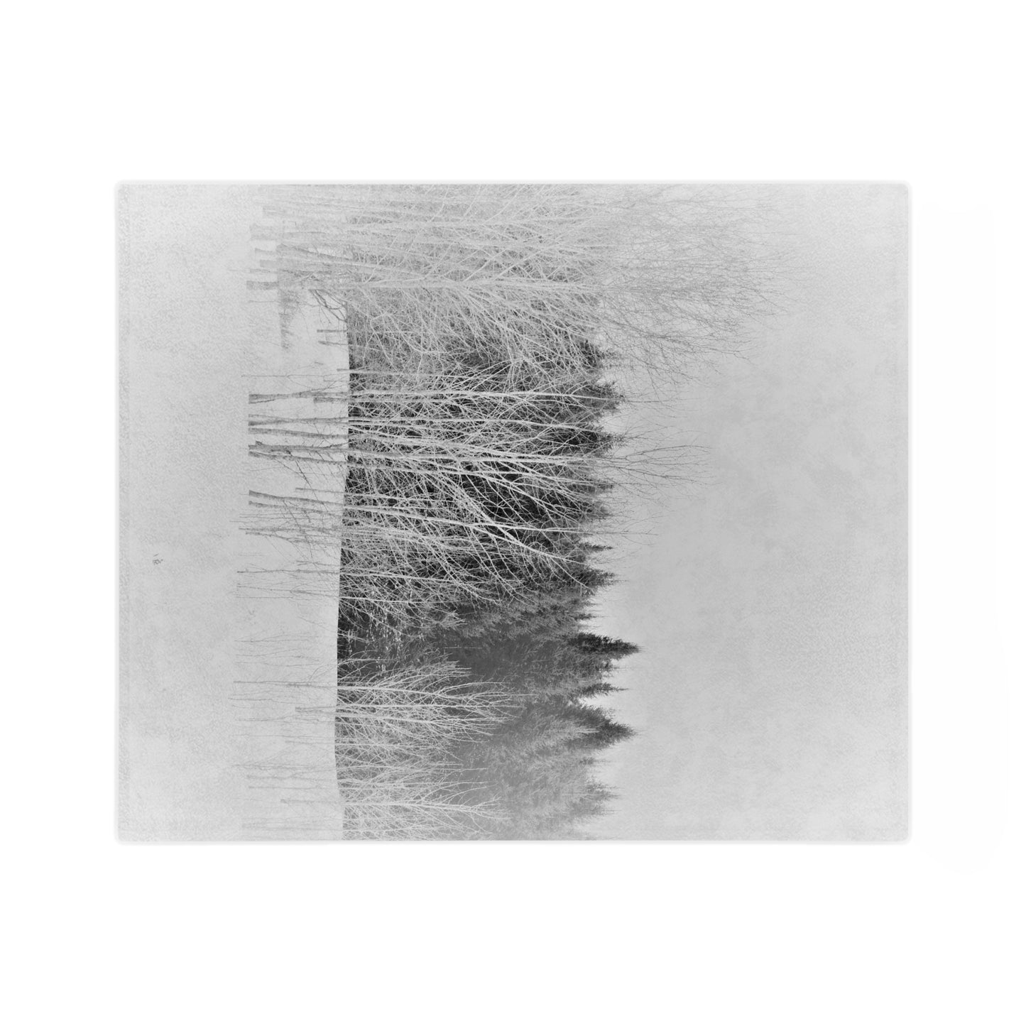 Velveteen Minky Blanket - Winter tree line