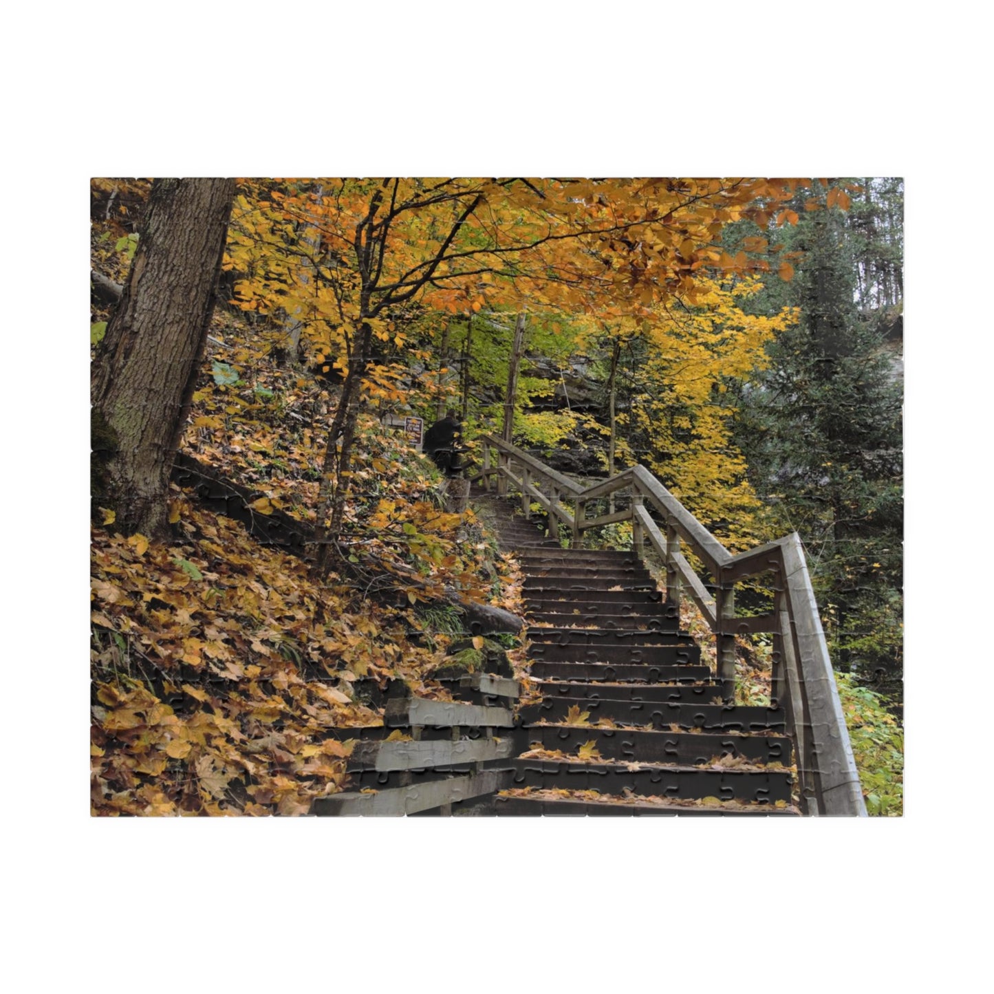 Puzzle (110, 252, 500, 1014-piece) Stairway to Fall