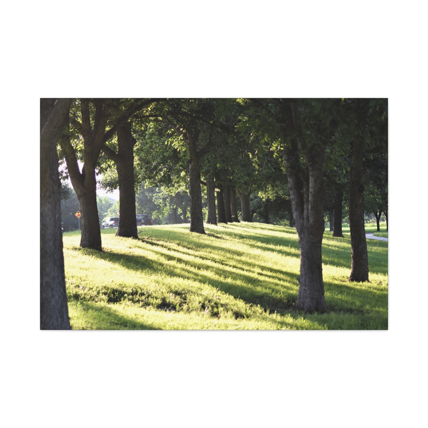 Walk in the park Matte Canvas, Stretched, 1.25" 48" x 24", 32", 36"