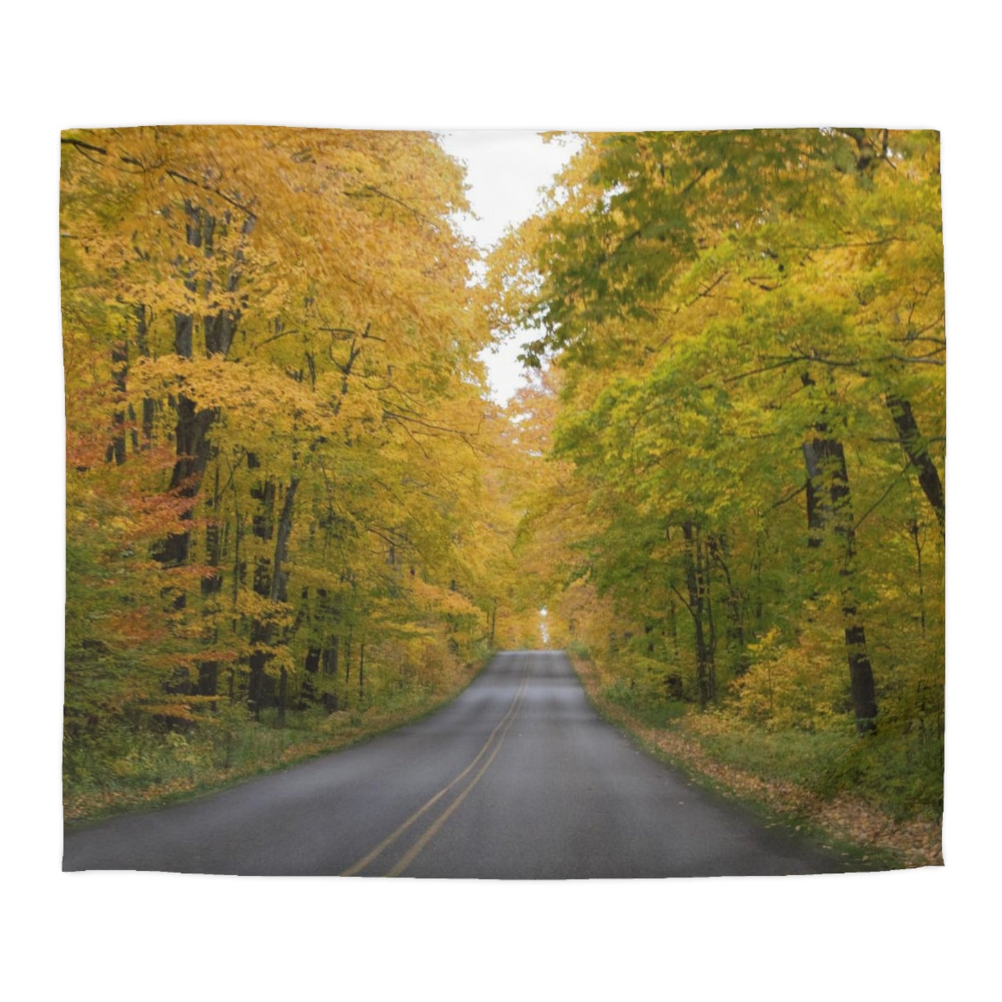Microfiber Duvet Cover - Fall Road