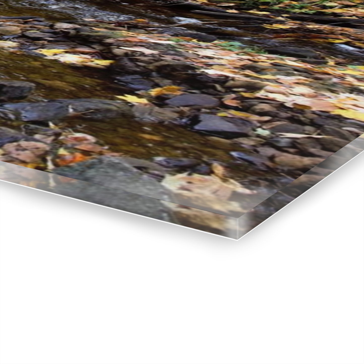 Acrylic Prints (French Cleat) Creekside Stroll