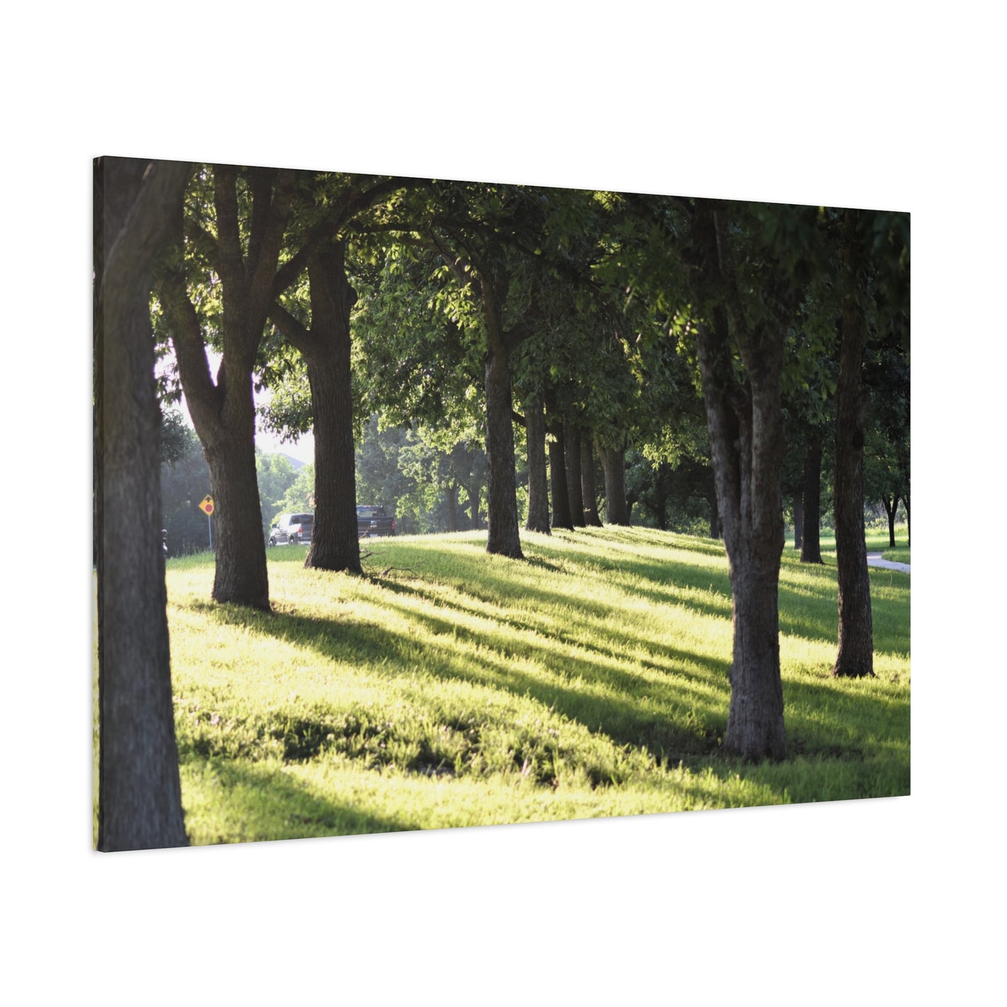 Walk in the park Matte Canvas, Stretched, 1.25" 48" x 24", 32", 36"