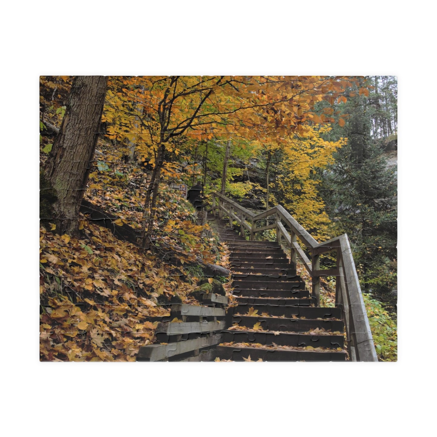 Puzzle (110, 252, 500, 1014-piece) Stairway to Fall
