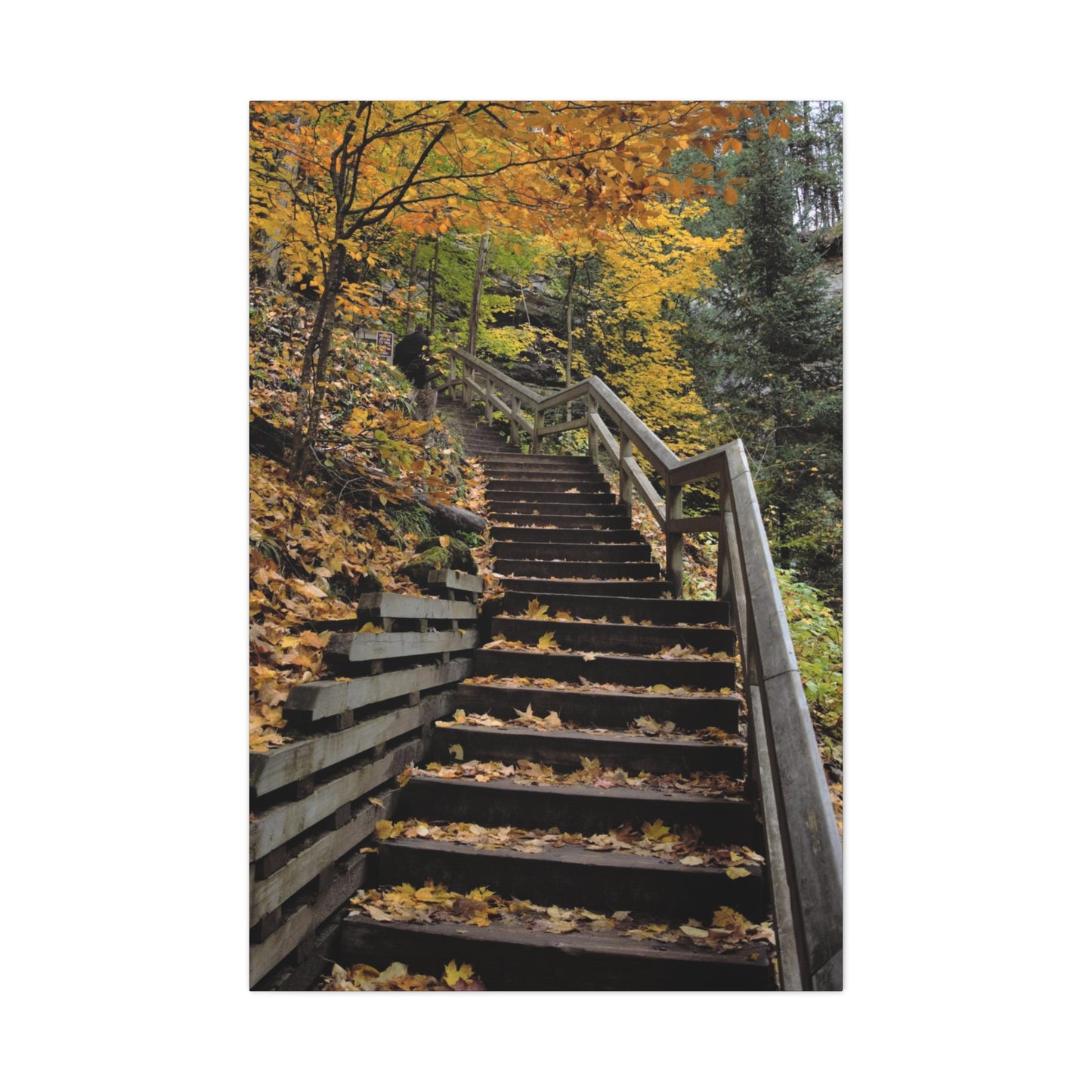 Stairway to Fall Matte Canvas, Stretched, 1.25" 48" x 24", 32", 36"