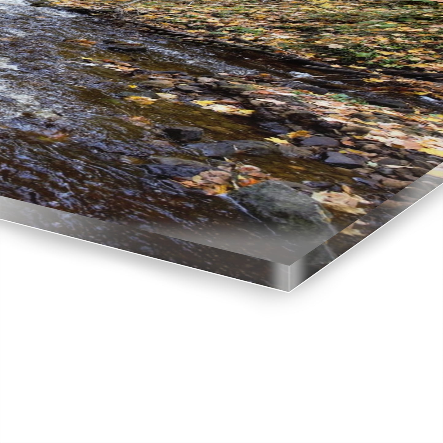 Acrylic Prints (French Cleat) Creekside Stroll