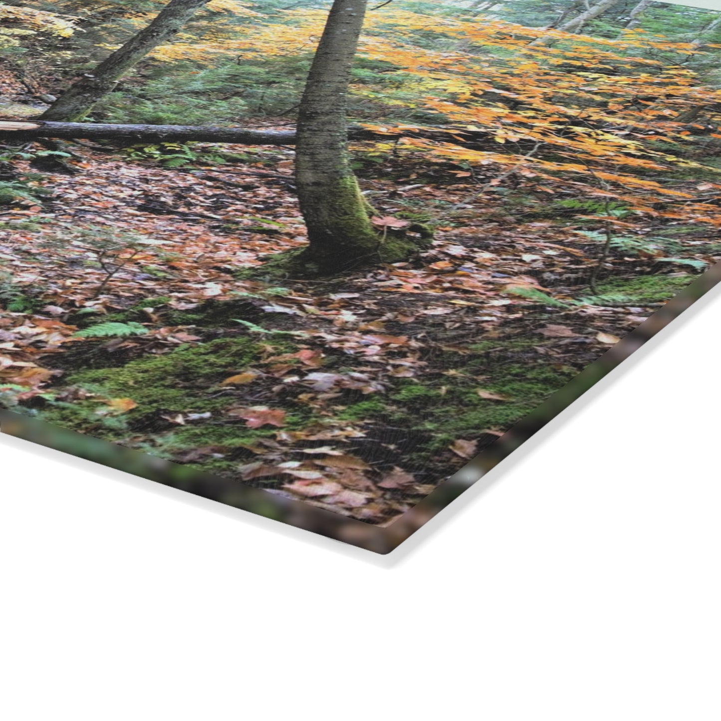 Glass Cutting Board - Bonus Creek