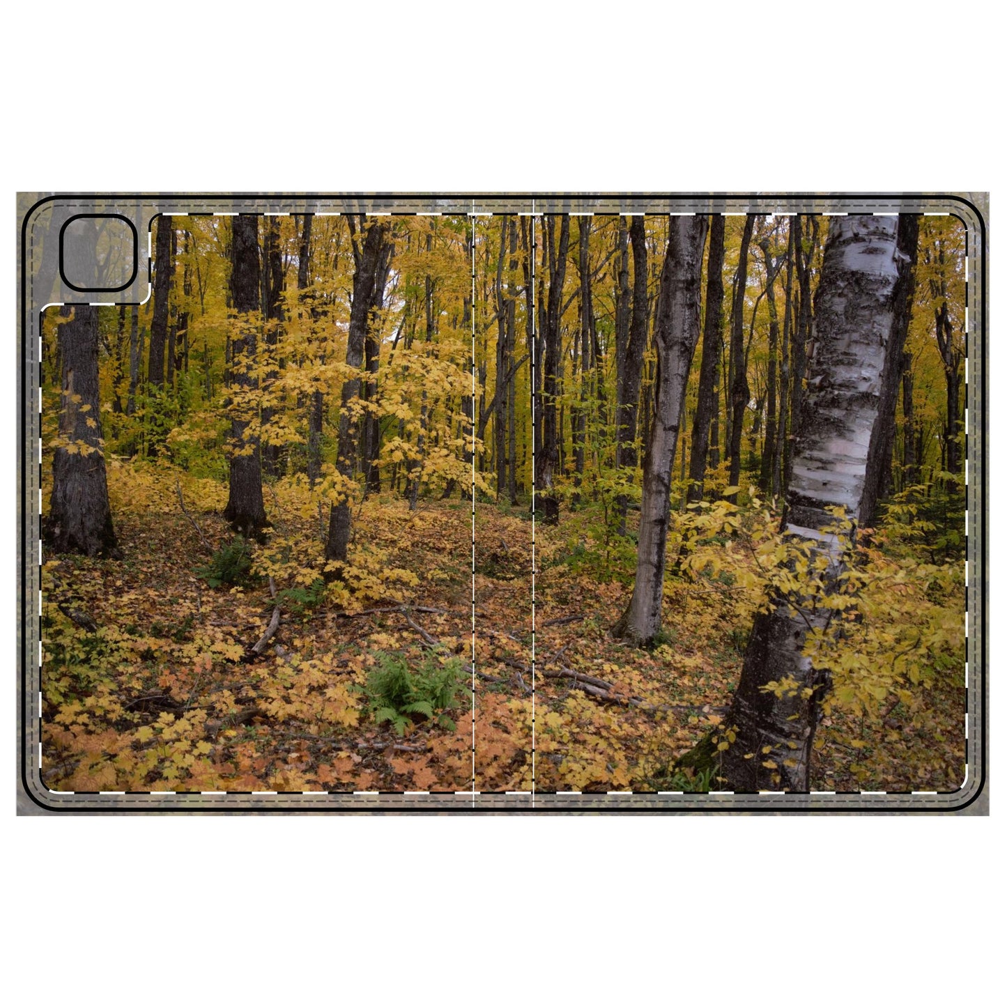 Tablet Folio Case - Walk in the woods. Ipad 12.9, Ipad 11