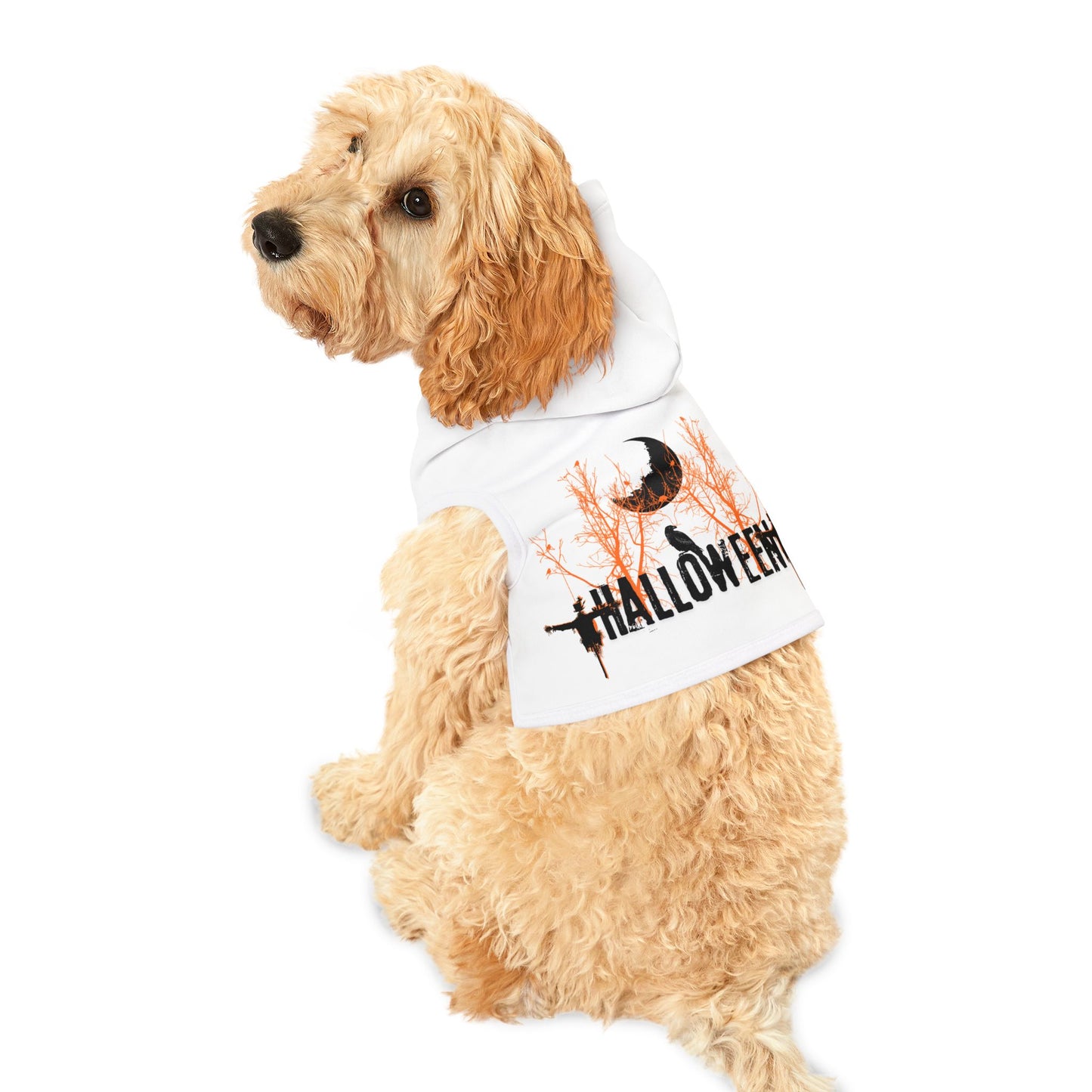 Pet Hoodie Scarecrow Halloween
