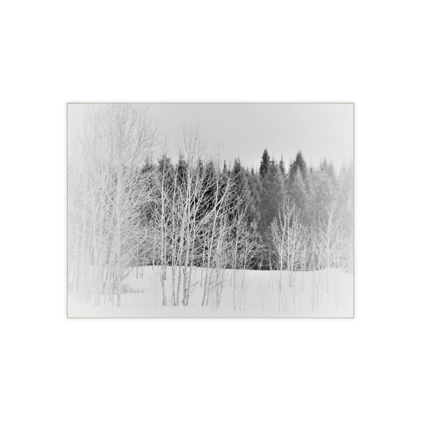 Ceramic Photo Size 6" x 8" Winter Field