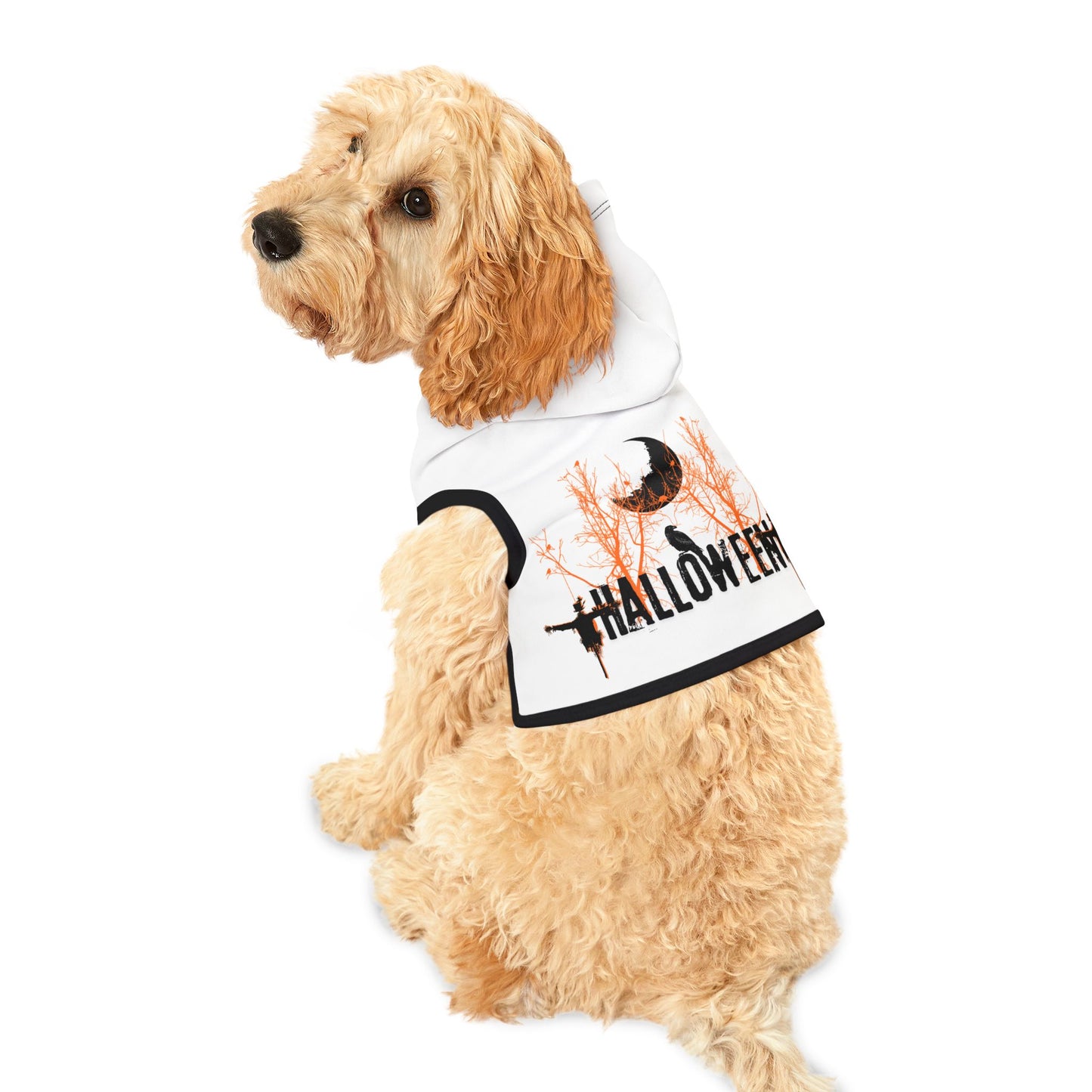 Pet Hoodie Scarecrow Halloween
