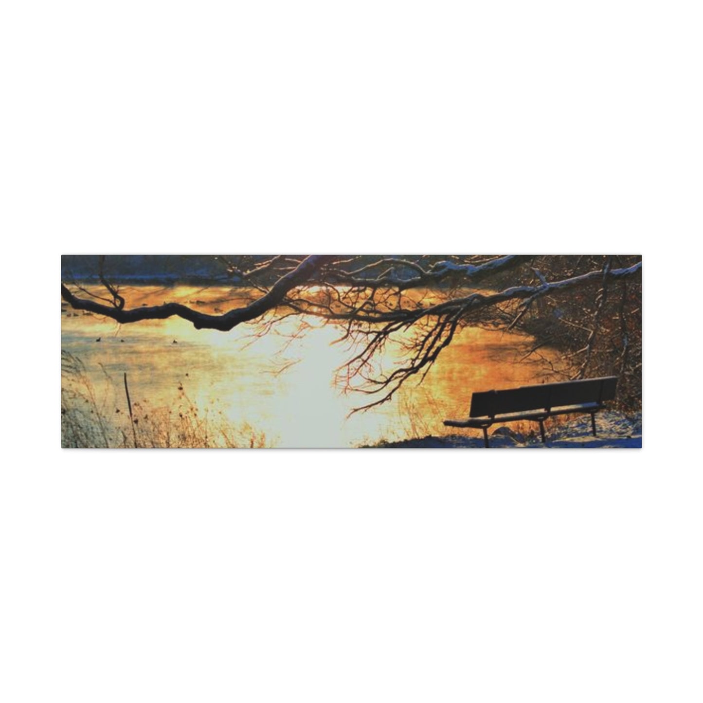 A Bench to Remember Matte Canvas, Stretched, 1.25" 48 "x 16" 48" x 24", 48" x 32", 48" x 36"