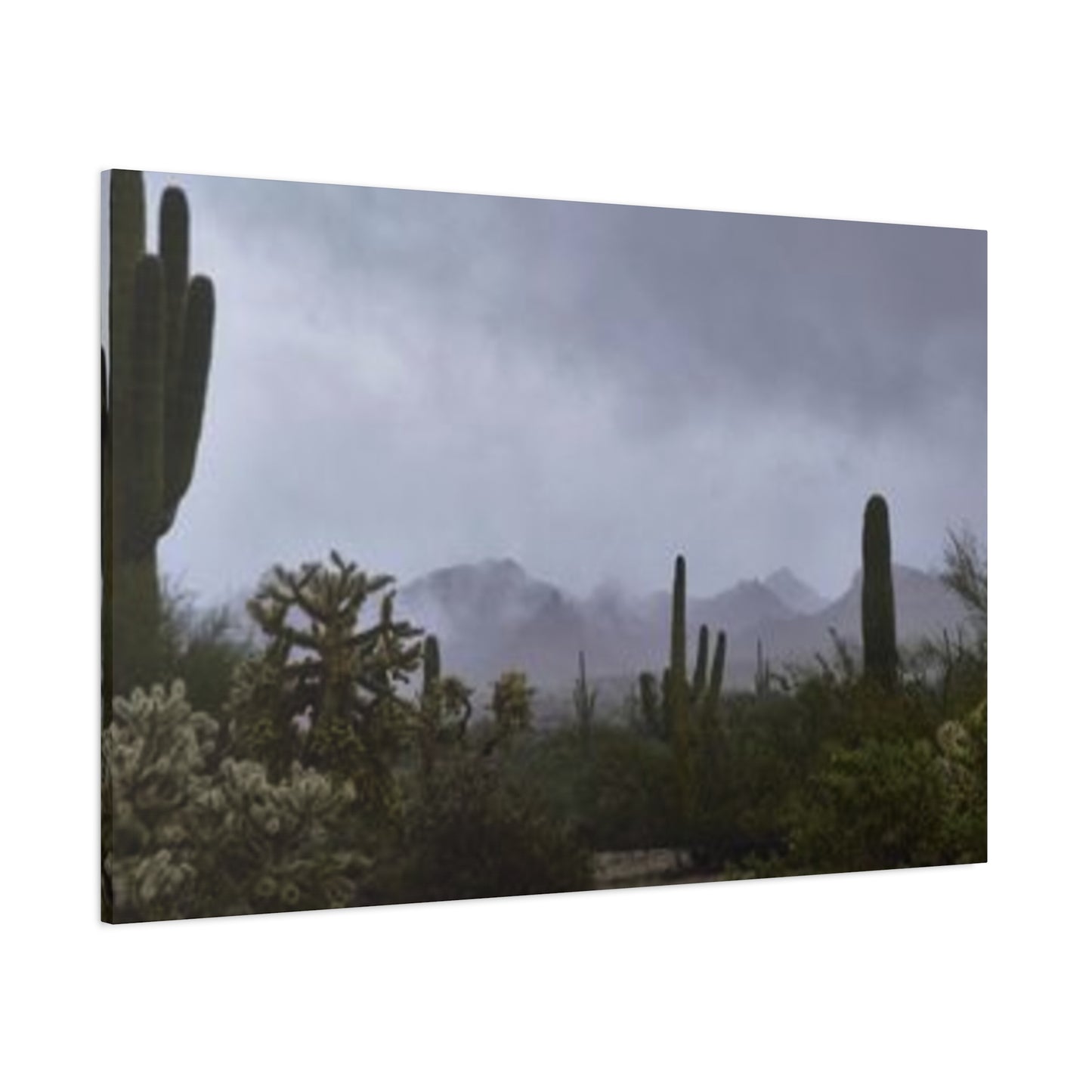 Foggy Desert Matte Canvas, Stretched, 1.25" 48" x 24", 32", 36"