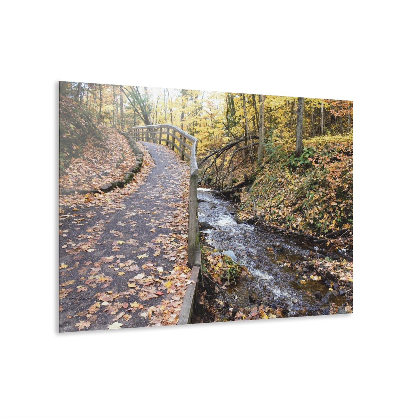 Acrylic Prints (French Cleat) Creekside Stroll