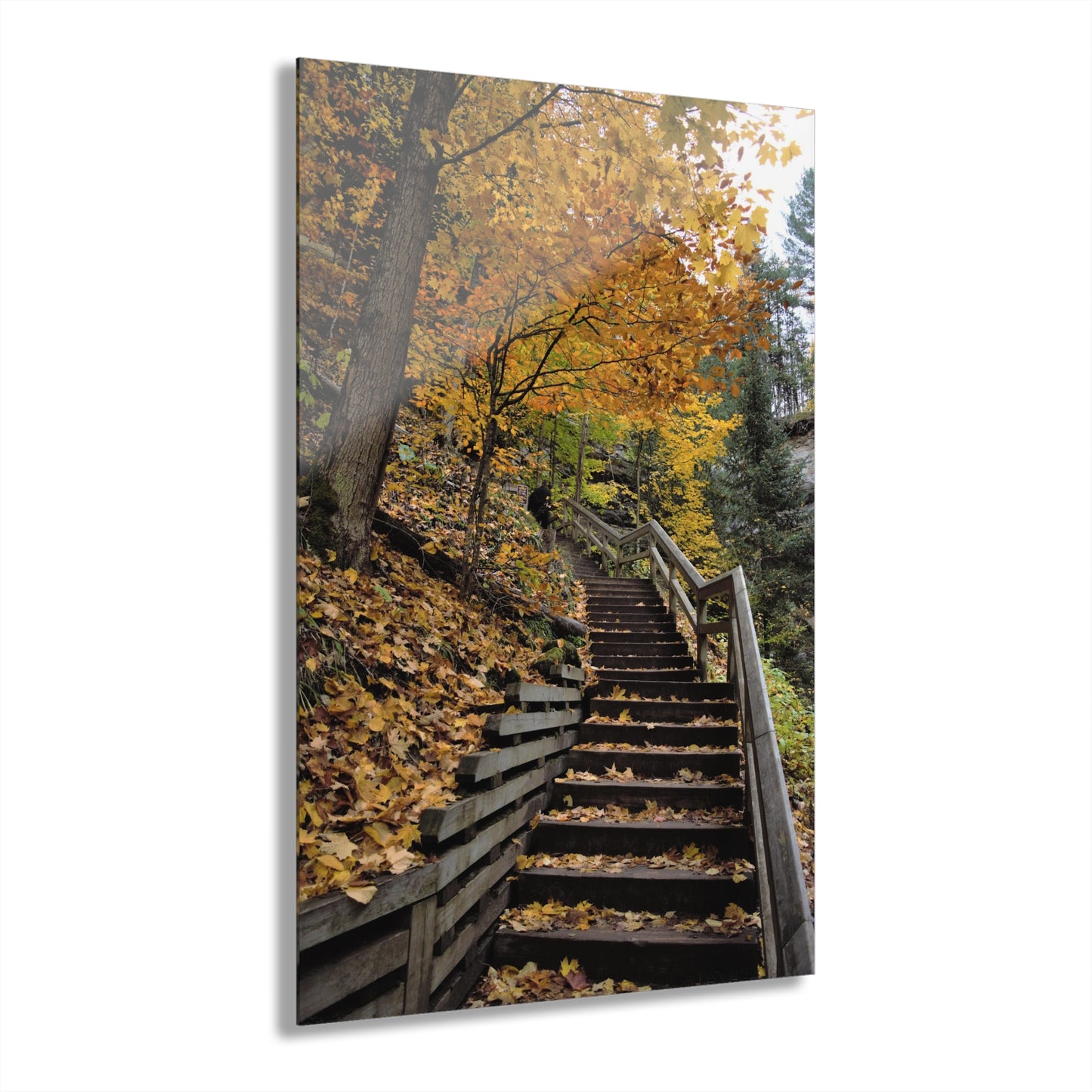 Acrylic Prints (French Cleat) Stairway to Heaven, Home Decor, Wall Decor, Wall Art, Gift for Her, Nature Lover, Fall Season