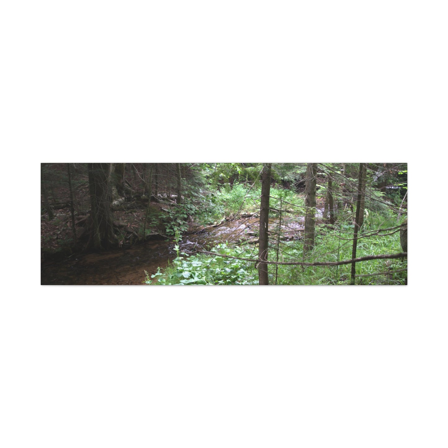 Down Stream from the falls 60" X 20" Matte Canvas, Stretched, 1.25"