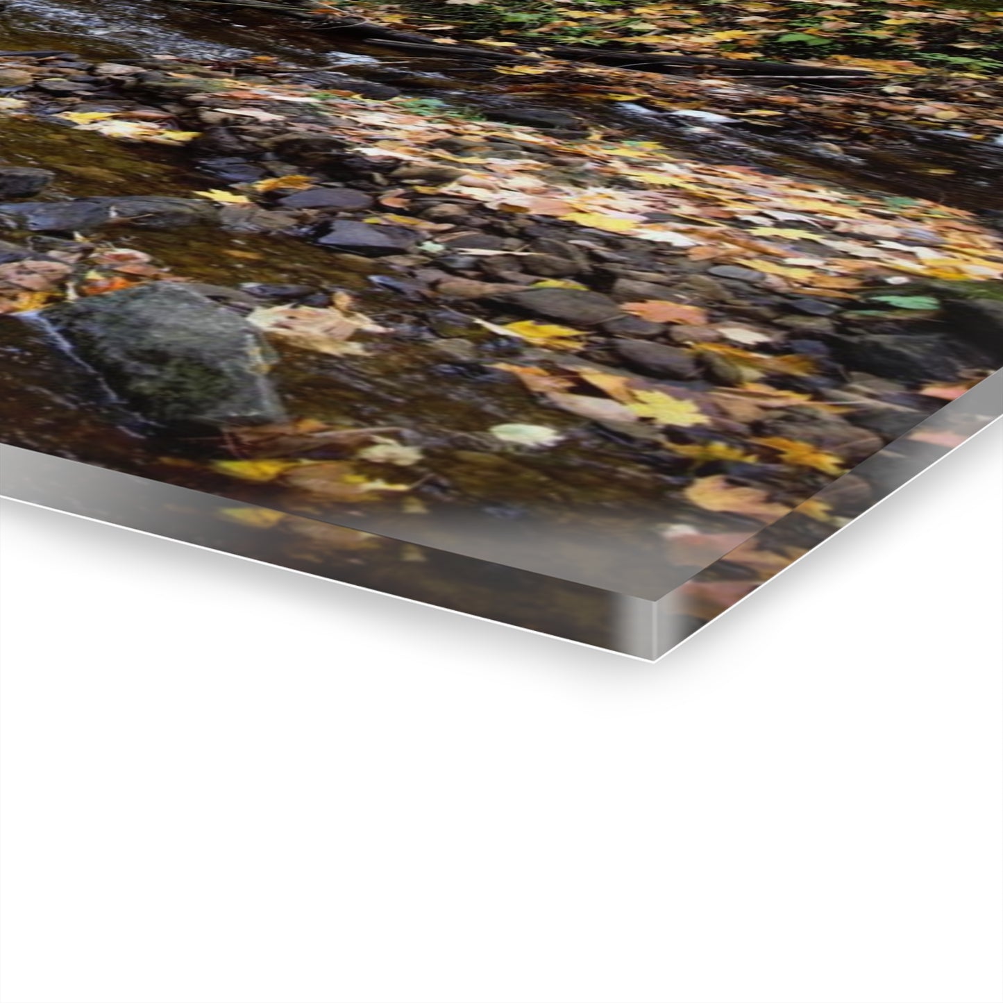 Acrylic Prints (French Cleat) Creekside Stroll