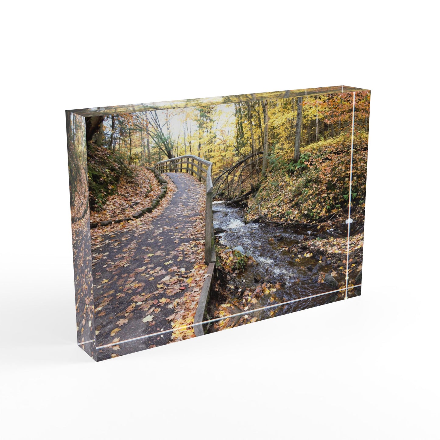 Photo Block - Walk in the woods