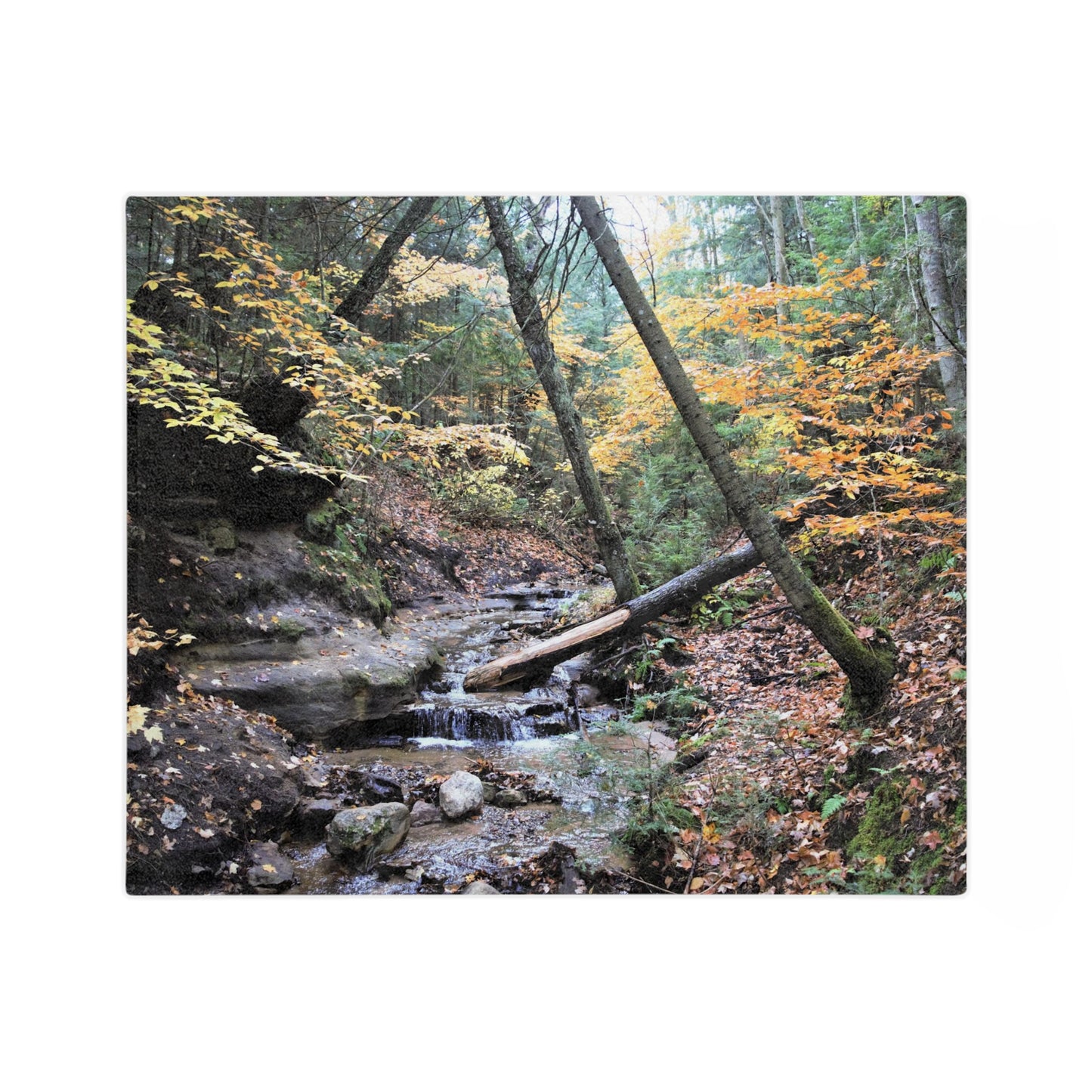 Velveteen Minky Blanket - Babbling Brook