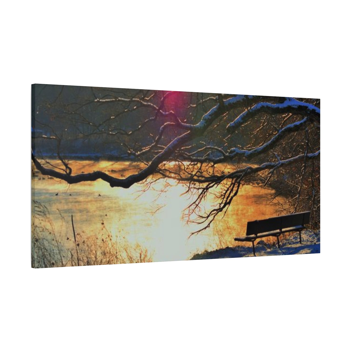 A Bench to Remember Matte Canvas, Stretched, 1.25" 48 "x 16" 48" x 24", 48" x 32", 48" x 36"