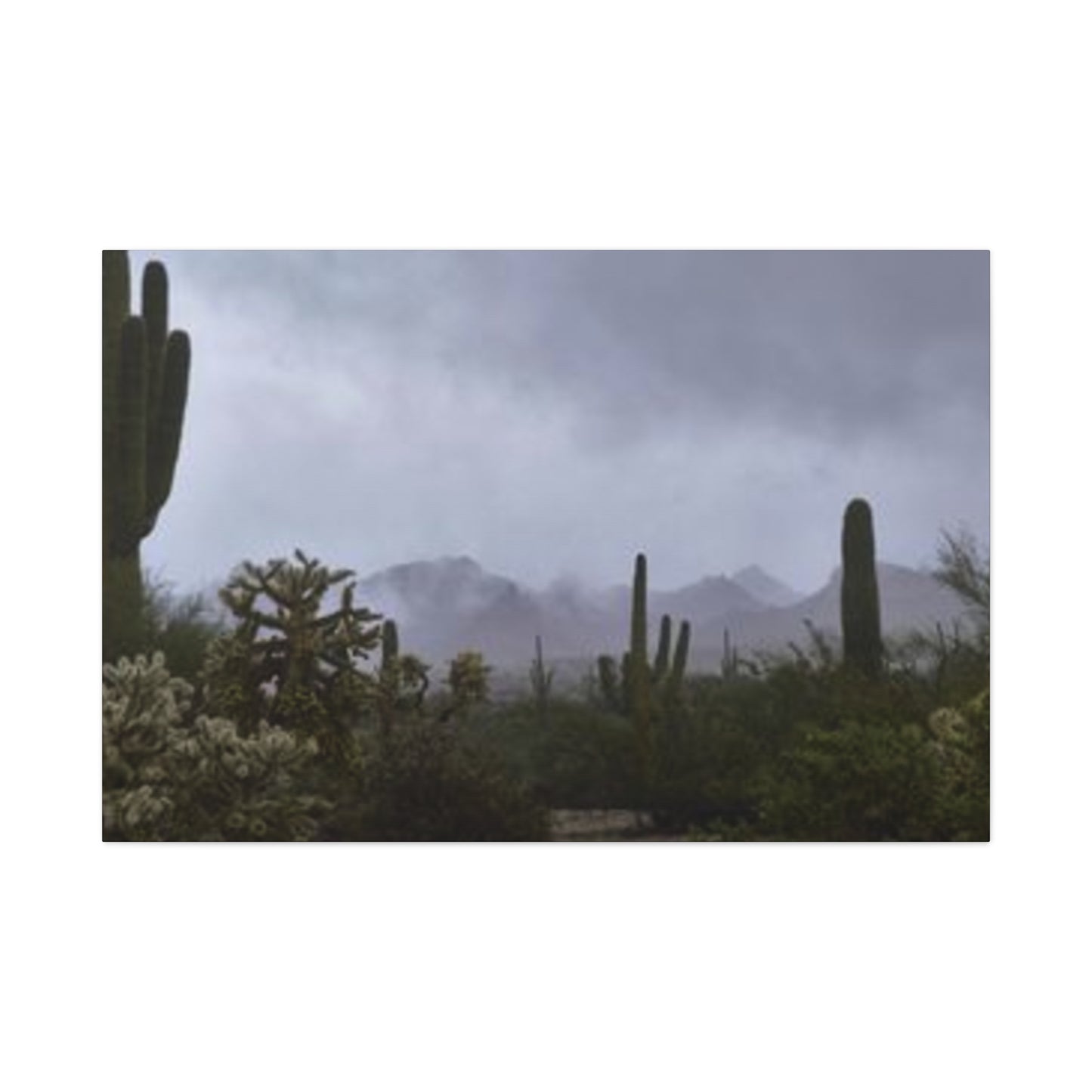 Foggy Desert Matte Canvas, Stretched, 1.25" 48" x 24", 32", 36"